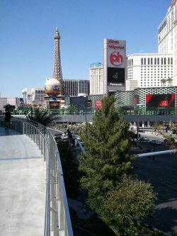 looking northward on the strip